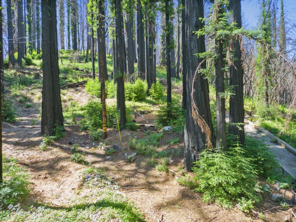 MLS #ML82019121 image #13