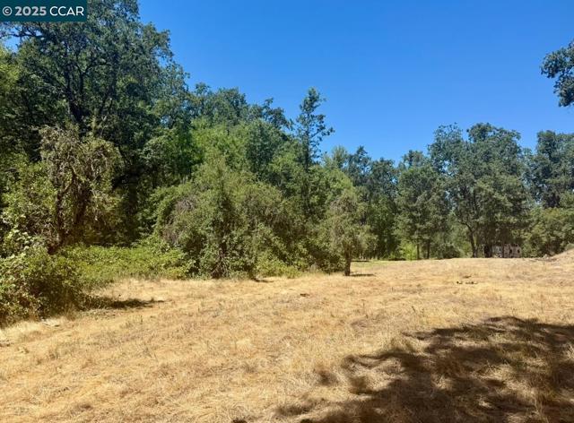 4578 Pretty Good Rd, Placerville CA: https://media.crmls.org/mediaz/0ab6e81f-6fab-464d-84d4-82f589ff4a41.jpg