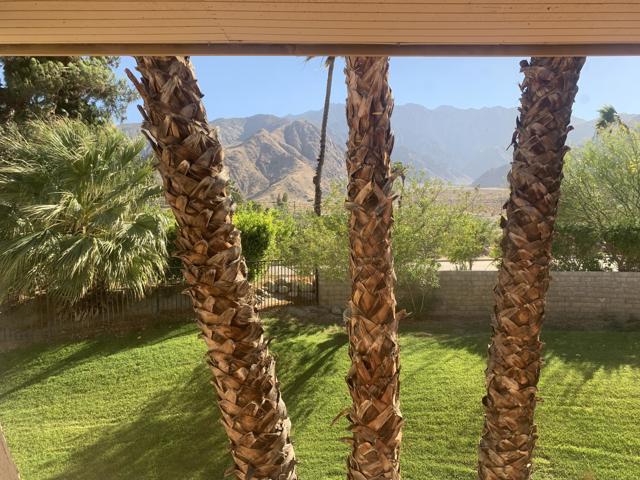 Image 3 for 2857 N Los Felices Rd #200, Palm Springs, CA 92262