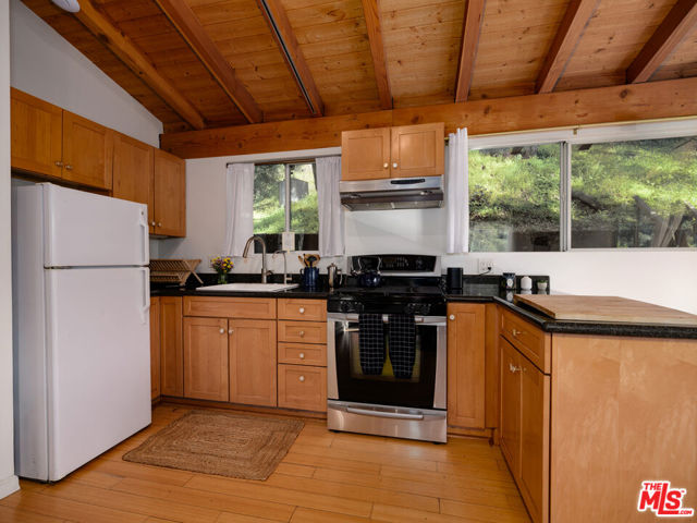 1256 North Topanga Canyon Boulevard photo 8