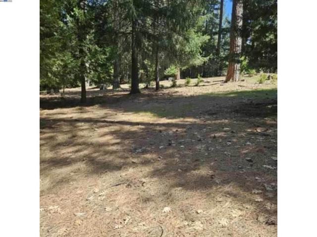 Image 6 of 12 For 5736 Wildrose Dr