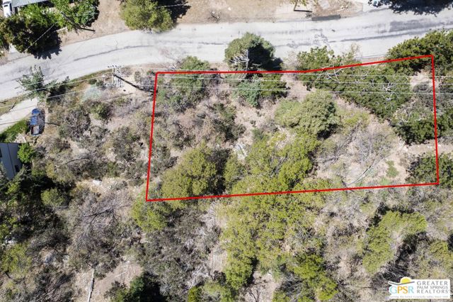 6011 Mountain Home Creek Road, Angelus Oaks CA: https://media.crmls.org/mediaz/0ac8bed5-d0f3-4032-a799-d2aab697d0b5.jpg
