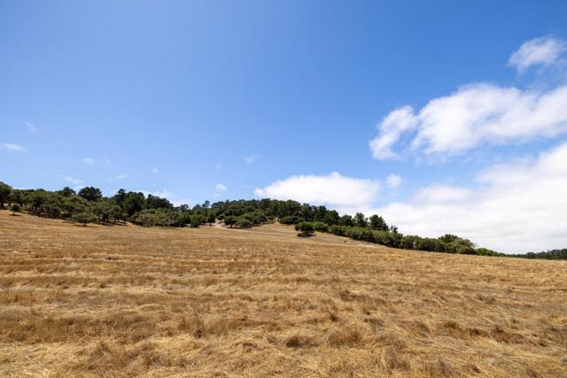 MLS #ML82017974 image #9