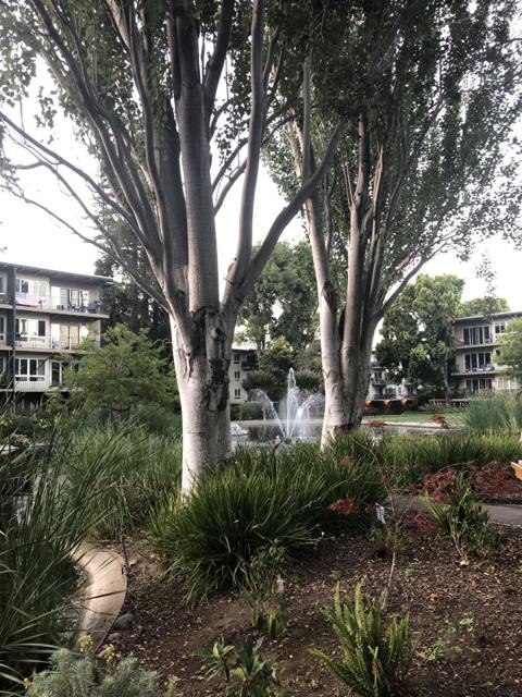 940 Peninsula Avenue, San Mateo CA: https://media.crmls.org/mediaz/0ac9985b-ce27-441a-b2a0-f1c64d78652b.jpg