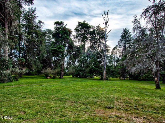 Detail Gallery Image 21 of 26 For 19100 Summers Ln, Fort Bragg,  CA 95437 - – Beds | – Baths