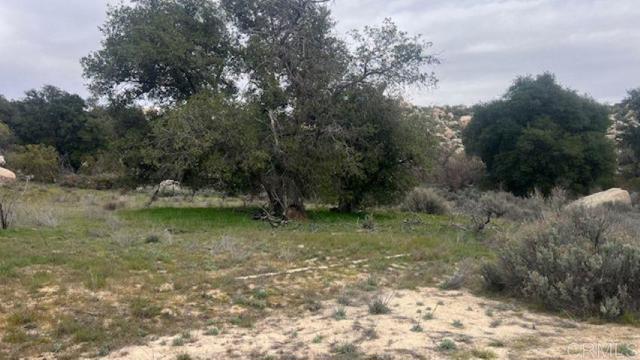 Detail Gallery Image 4 of 12 For 1400 Starship Lane, Jacumba,  CA 91934 - – Beds | – Baths