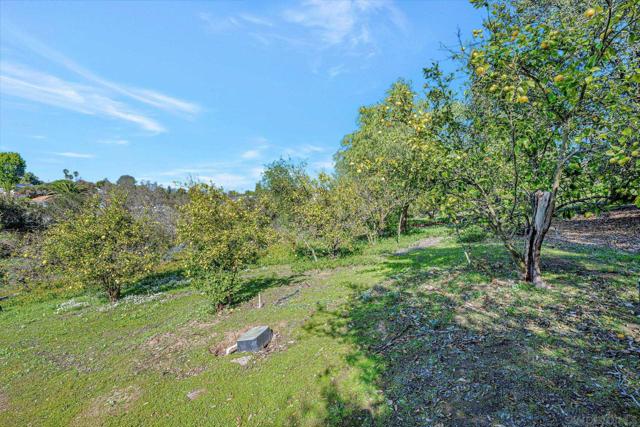 1761 Winterwarm Dr, Fallbrook CA: https://media.crmls.org/mediaz/0ad07c21-1198-43c4-b8b0-d4aaf0874cbf.jpg