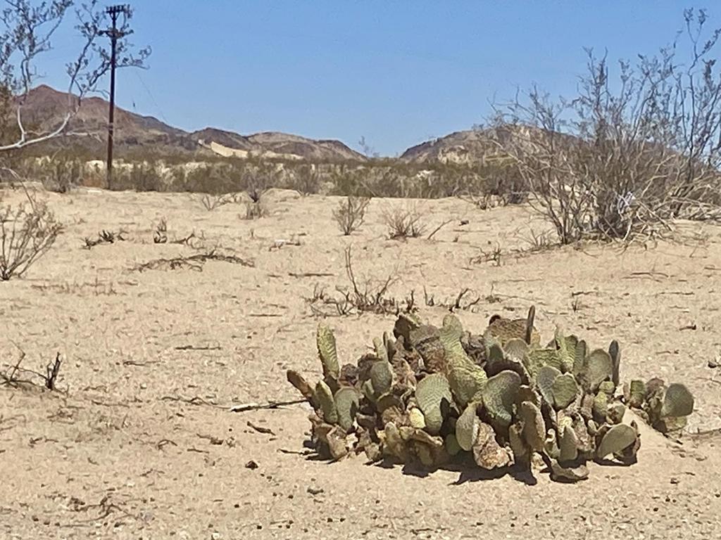 MLS #219133463PS image #23