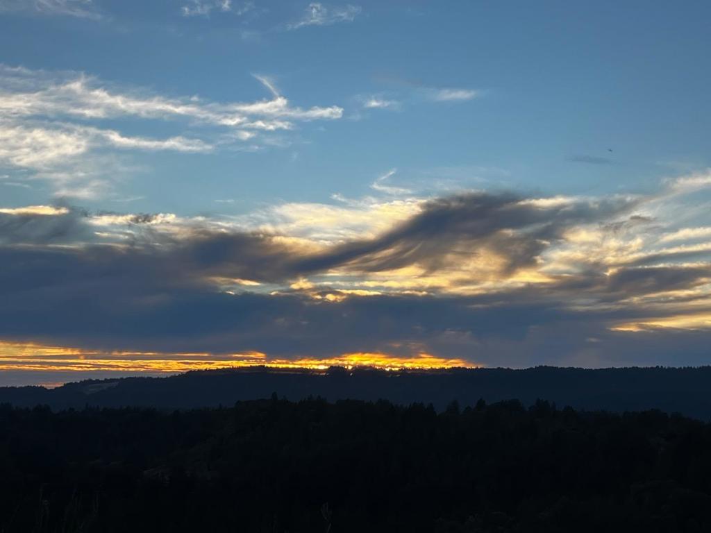 https://media.crmls.org/mediaz/0ae11b8a-5a2b-4be2-9f5c-7804ae1d9af4.jpg?preset=X-Large
