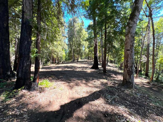 0 E Hilton, Boulder Creek CA: https://media.crmls.org/mediaz/0ae512db-9e46-4440-bc71-330932a59ed1.jpg