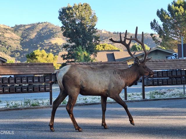 28600 Ridgeview Court, Tehachapi, California 93561, ,Land,For Sale,28600 Ridgeview Court,CRV1-20891