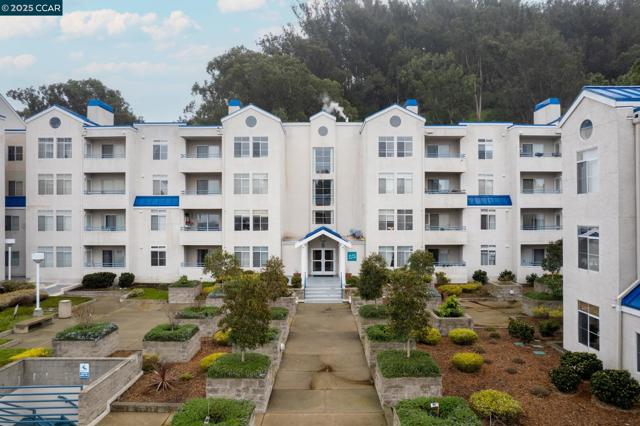 535 Pierce St, Albany CA: https://media.crmls.org/mediaz/0af534af-15e5-4f67-91b0-f5350c6dc9f3.jpg