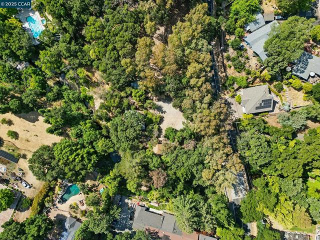 1491 Boulevard Way, Walnut Creek CA: https://media.crmls.org/mediaz/0afbe2a4-486c-4fd6-8d2f-d80c5e5dcc47.jpg