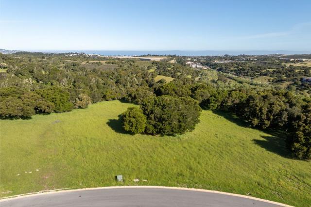 8170 Manjares (Lot 135), Monterey CA: https://media.crmls.org/mediaz/0b0505d1-1326-4e8c-a67d-6abe81e14325.jpg