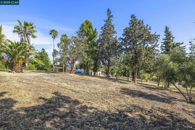 1051 Tilley Cir, Concord CA: https://media.crmls.org/mediaz/0b0597c5-66a7-4ffe-a2a9-43f57cf78929.jpg