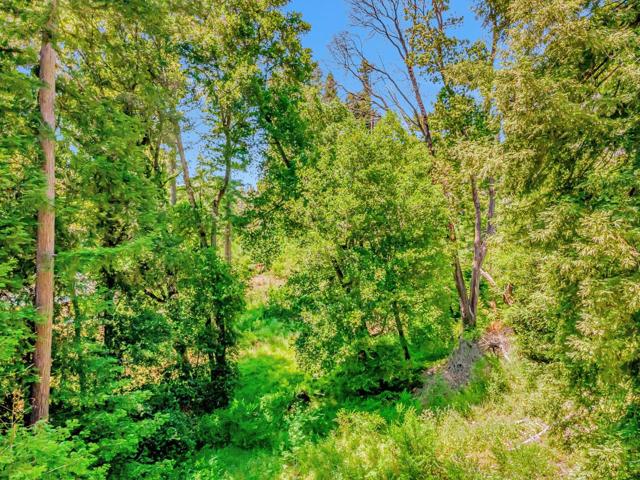 0 Memory, Boulder Creek CA: https://media.crmls.org/mediaz/0b107a22-f122-4bc3-9a1e-072009db32f8.jpg
