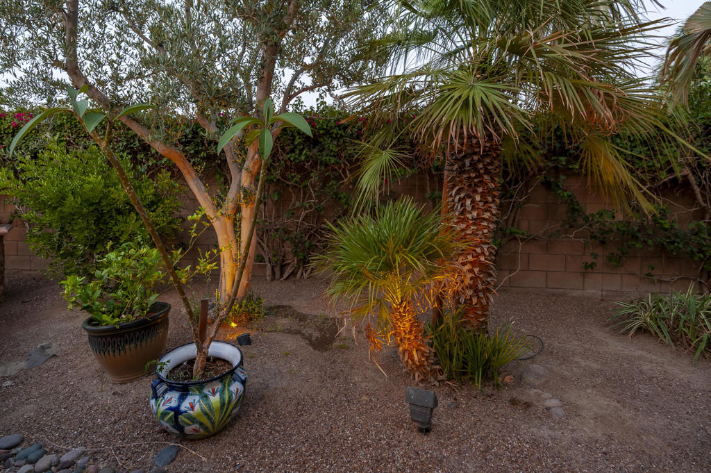 MLS #219135794DA image #44