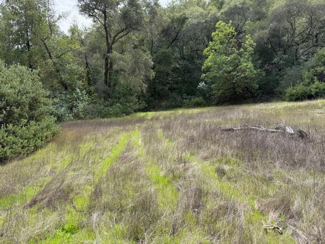 11 Little Uvas Road, Morgan Hill CA: https://media.crmls.org/mediaz/0b2606c3-5c76-406c-9ba7-a4d54bc75ef3.jpg