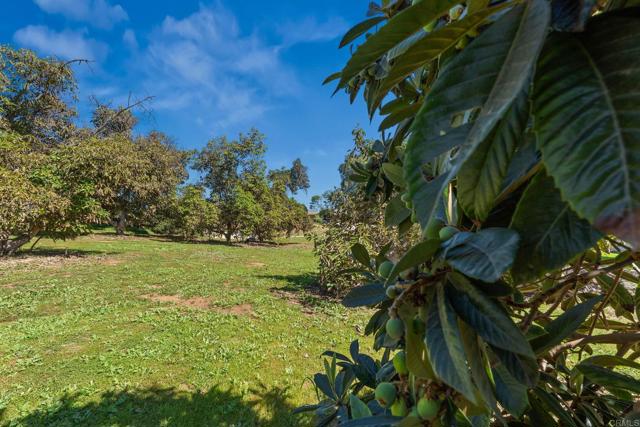 Detail Gallery Image 59 of 59 For 11460 Pinehurst Dr, Lakeside,  CA 92040 - 4 Beds | 3/1 Baths