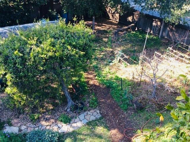 1280 Grant Road, Los Altos CA: https://media.crmls.org/mediaz/0b5332f8-7e1f-4fee-8f55-09f602f83315.jpg