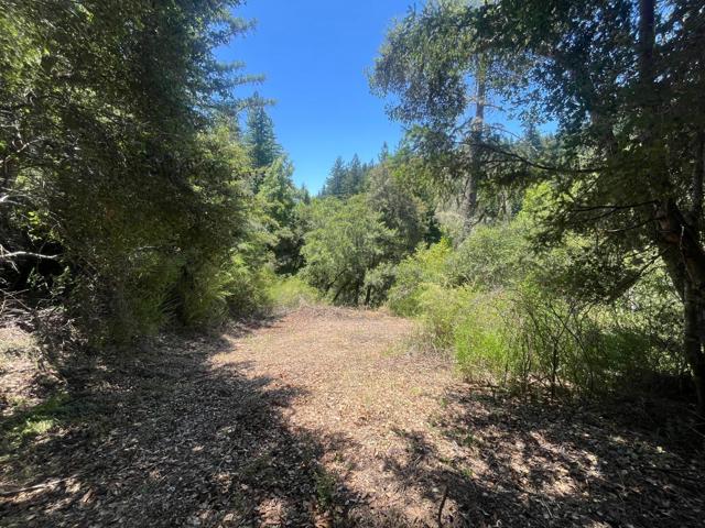 0 Deer Creek (Lot 21), Boulder Creek CA: https://media.crmls.org/mediaz/0b60cc7b-944b-40cb-9af8-72b44f2fca46.jpg
