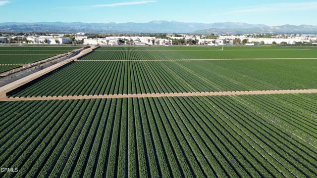 Detail Gallery Image 7 of 10 For 2151 E Wooley Rd, Oxnard,  CA 93030 - – Beds | – Baths