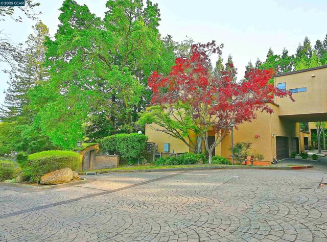 3279 Mt Diablo Court, Lafayette CA: https://media.crmls.org/mediaz/0b72bf76-4a1b-4c4f-9e67-2e445a4fe4fc.jpg