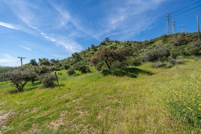 Detail Gallery Image 7 of 36 For 4700 Rising Hill Rd, Altadena,  CA 91001 - – Beds | – Baths