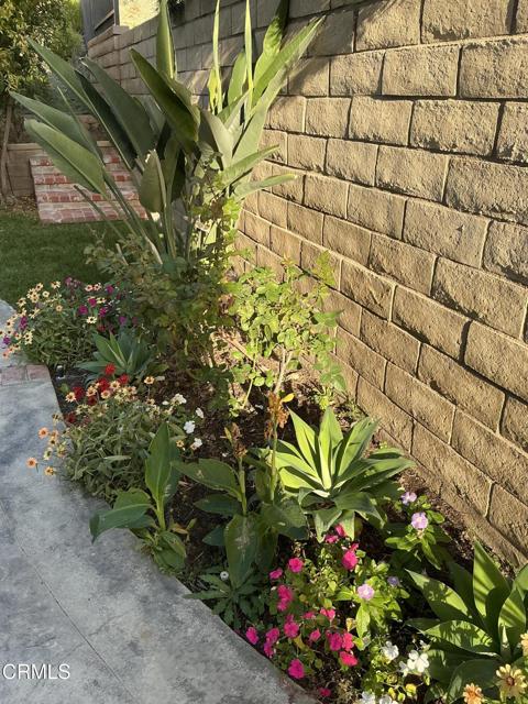 MLS #V1-33325 image #35