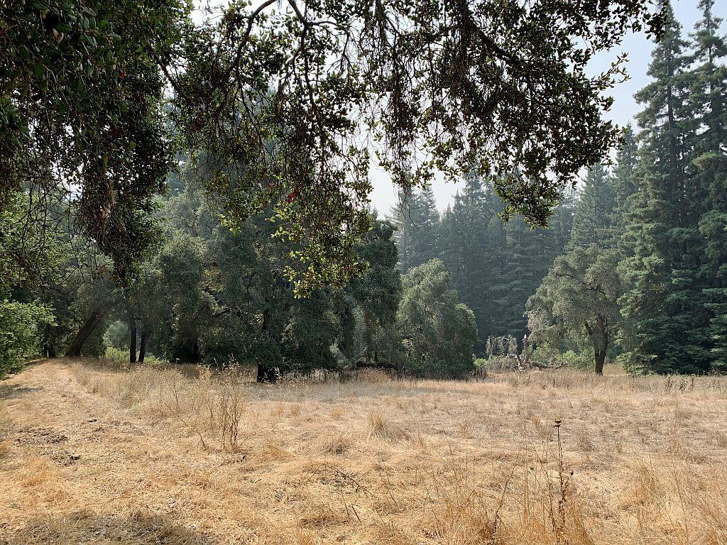 MLS #ML81810757 image #37