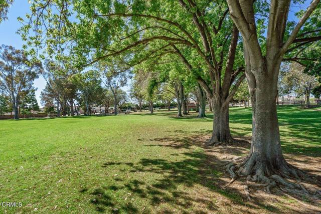 Detail Gallery Image 64 of 72 For 9540 Telegraph Rd #16,  Ventura,  CA 93004 - 3 Beds | 2 Baths