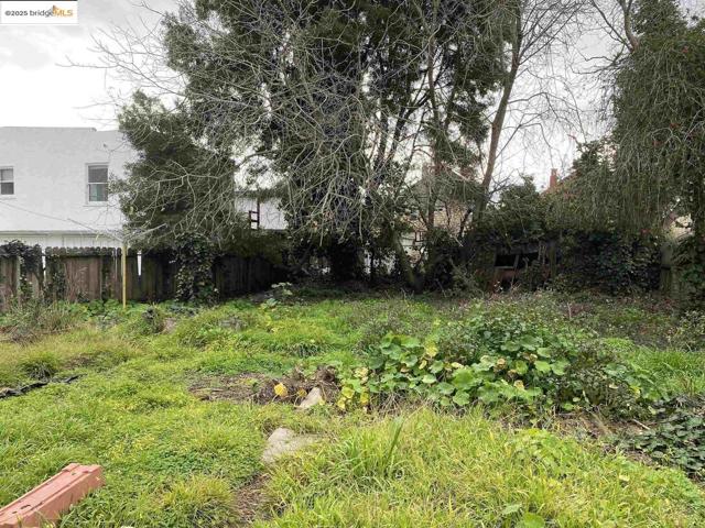 1100 Park AVE, Alameda CA: https://media.crmls.org/mediaz/0baa24a0-d9ab-44c8-94b0-2ecc4525897f.jpg