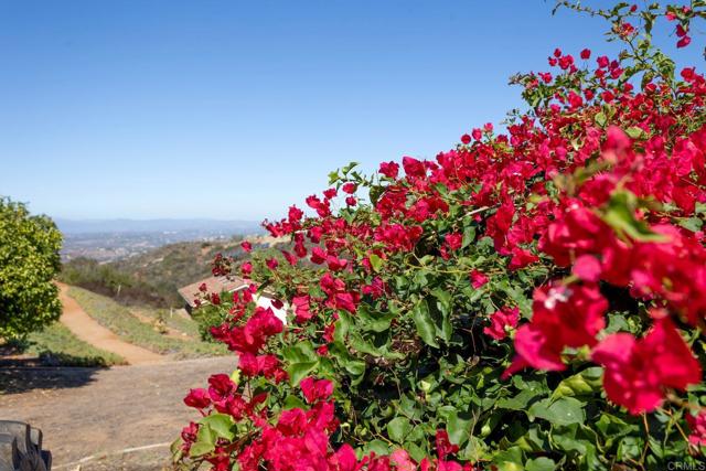 Detail Gallery Image 65 of 75 For 2335 Mirador, Vista,  CA 92084 - 5 Beds | 2/1 Baths