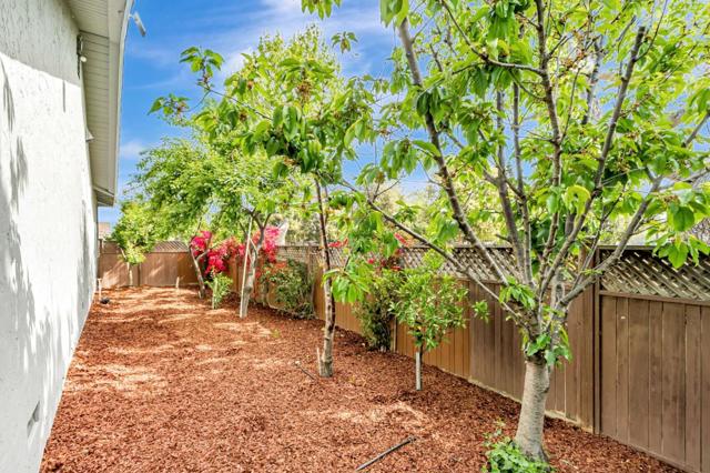 529 Park Meadow Court, San Jose CA: https://media.crmls.org/mediaz/0bc2e523-2fd4-4498-91c7-10c47d8af1f3.jpg