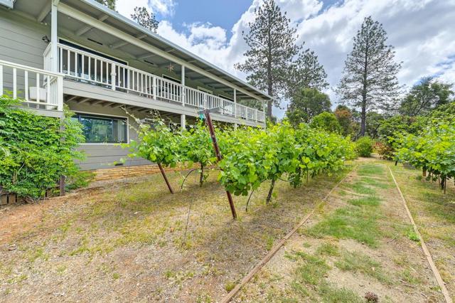 2640 Gayle Lane, Auburn CA: https://media.crmls.org/mediaz/0bcaf426-0b43-4ade-96a6-441ef903db69.jpg