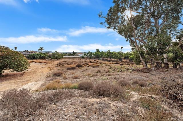 Detail Gallery Image 39 of 65 For 2205 Leon Ave, San Diego,  CA 92154 - 3 Beds | 2 Baths