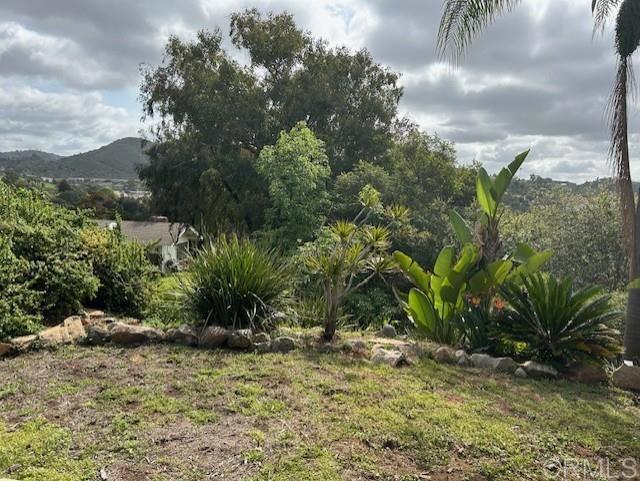 2248 Buena Creek Rd., Vista CA: https://media.crmls.org/mediaz/0bcc3471-3caf-445d-91ef-312a79019175.jpg
