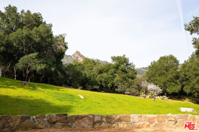 25834 Piuma Road photo 5