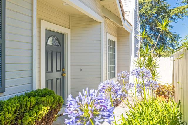 863 English Holly Lane, San Marcos CA: https://media.crmls.org/mediaz/0bd873c6-b73e-4f46-934b-fc41513de774.jpg