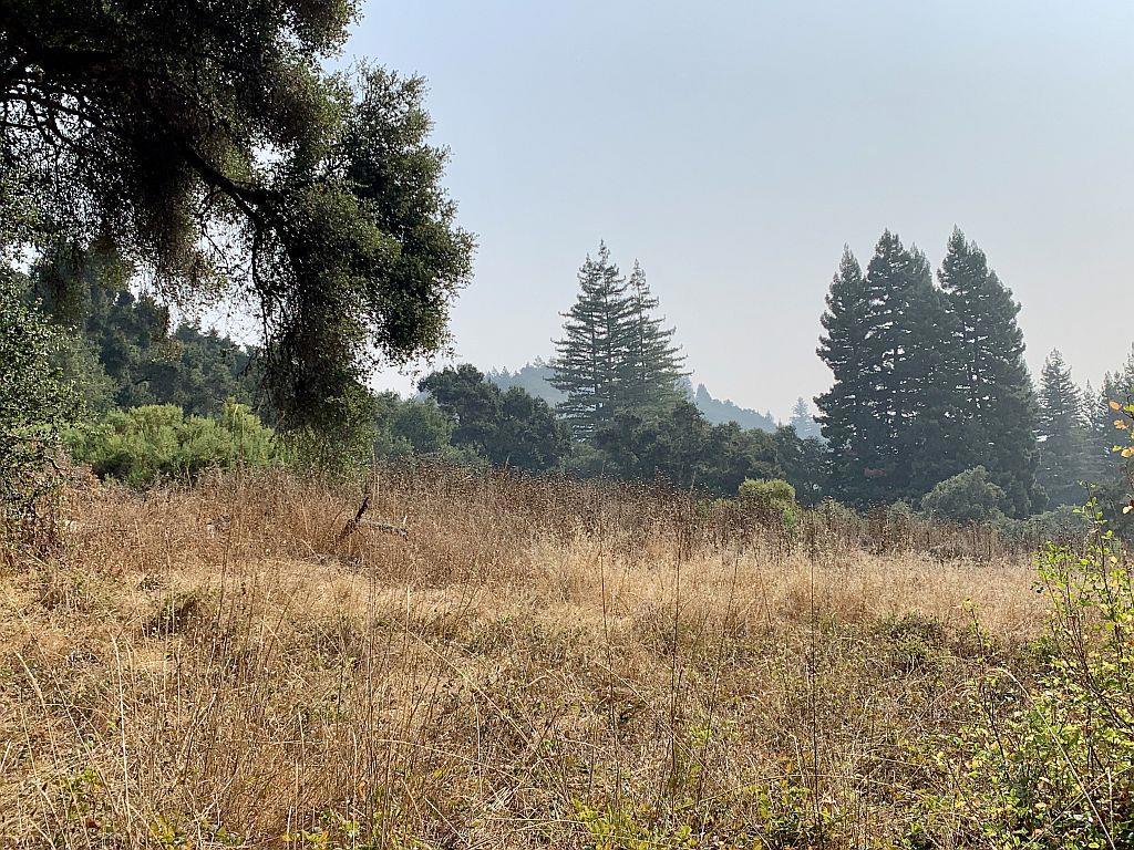 MLS #ML81810757 image #61