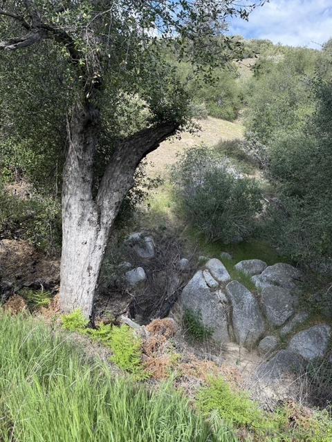 26742 San Felipe Rd, Warner Springs CA: https://media.crmls.org/mediaz/0bdaeb4c-6035-4ca7-94b5-5381fbcffc3e.jpg