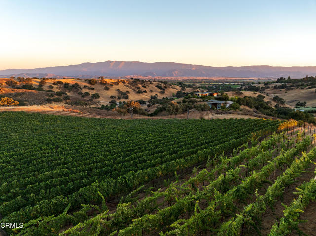 Detail Gallery Image 4 of 51 For 3001 Long Valley Rd, Santa Ynez,  CA 93460 - 6 Beds | 6/2 Baths