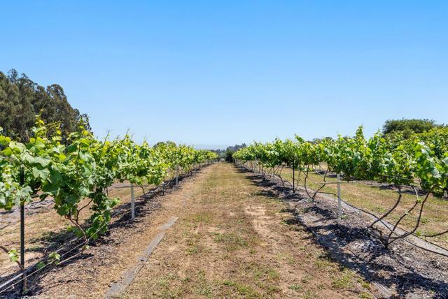 261 Wheelock Road, Watsonville CA: https://media.crmls.org/mediaz/0be2c6fd-78a3-40c1-a314-9e7b6ac2453a.jpg