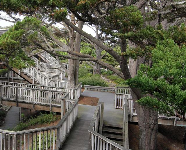 101 Shell Drive, Watsonville CA: https://media.crmls.org/mediaz/0be7e981-1747-46d7-9ae8-84a694193404.jpg
