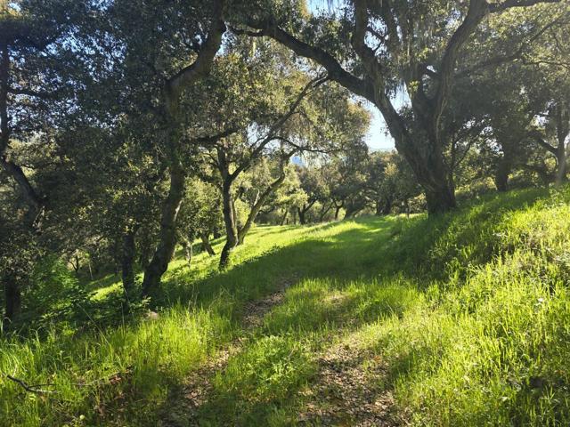 16 SLEEPY HOLLOW DRIVE, Carmel Valley CA: https://media.crmls.org/mediaz/0be923d2-ca4f-441f-b6da-60d699a13f25.jpg