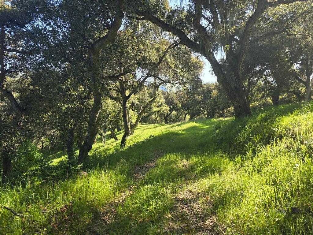 MLS #ML82001285 image #5