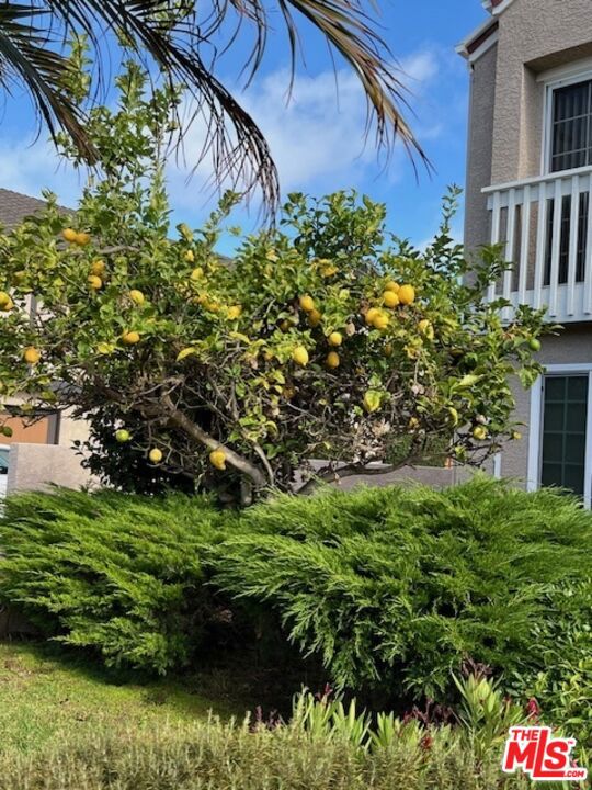 2210 Graham Avenue, Redondo Beach CA: https://media.crmls.org/mediaz/0bea485f-a4f9-499a-871e-8c7e6a9166de.jpg