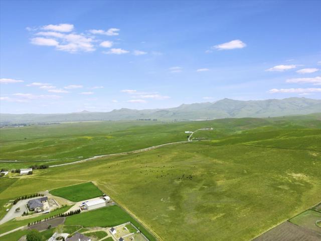 2000 John Smith, Hollister CA: https://media.crmls.org/mediaz/0beb5be9-3303-4dfd-9f56-58c07613e32b.jpg