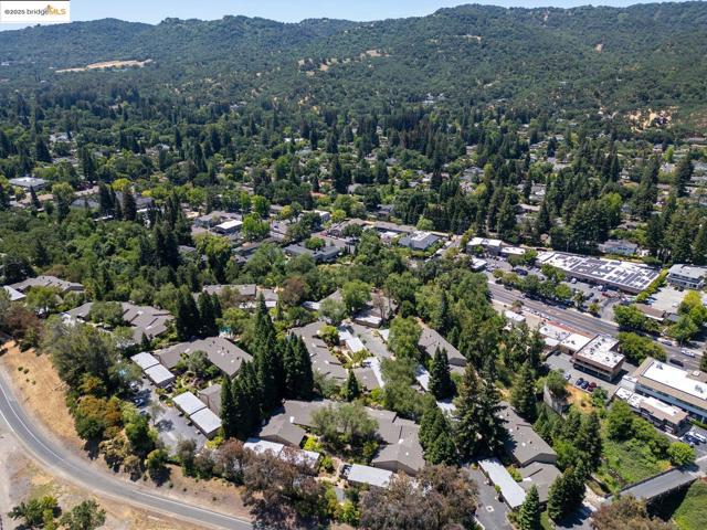 128 Alamo Sq, Alamo CA: https://media.crmls.org/mediaz/0bf9241f-a236-43c5-ad58-72ab812728bd.jpg