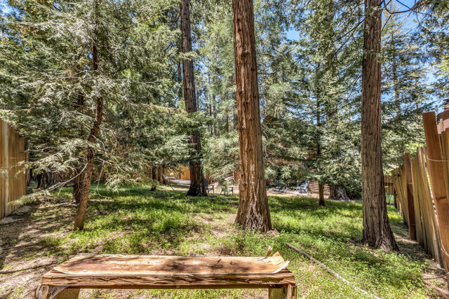 54385 S S. Circle Drive, Idyllwild CA: https://media.crmls.org/mediaz/0bfeba18-6989-4e30-a471-5f570ba80279.jpg
